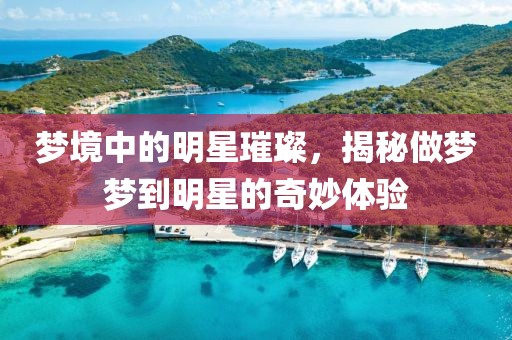 梦境中的明星璀璨，揭秘做梦梦到明星的奇妙体验