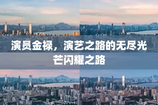 演员金禄，演艺之路的无尽光芒闪耀之路