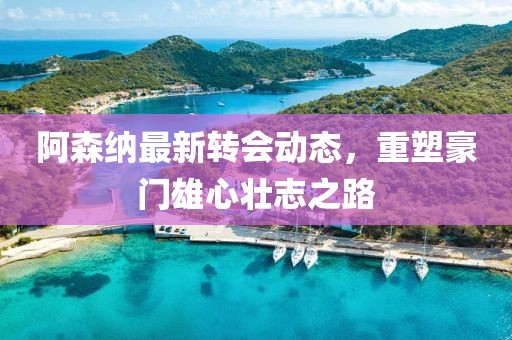阿森纳最新转会动态，重塑豪门雄心壮志之路