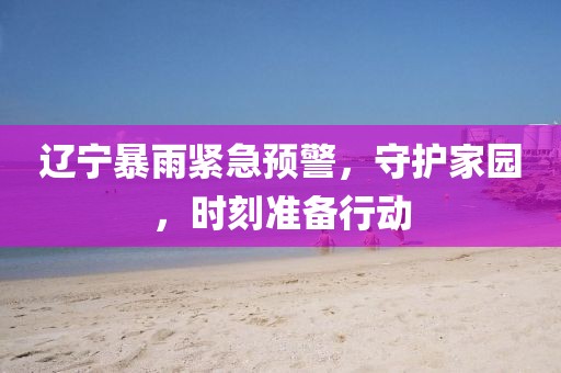 辽宁暴雨紧急预警，守护家园，时刻准备行动