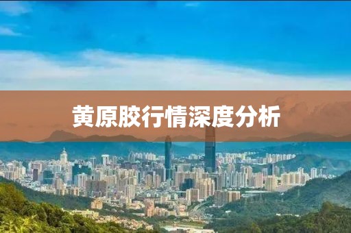 黄原胶行情深度分析