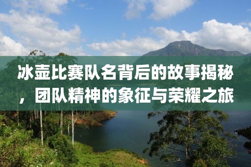 冰壶比赛队名背后的故事揭秘，团队精神的象征与荣耀之旅