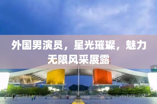 外国男演员，星光璀璨，魅力无限风采展露
