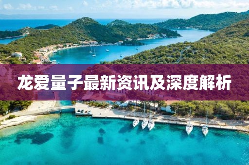 龙爱量子最新资讯及深度解析