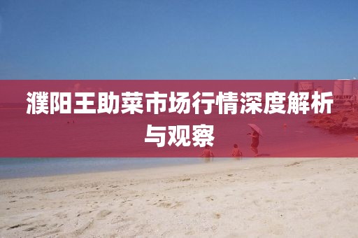 濮阳王助菜市场行情深度解析与观察