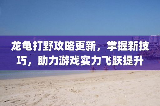 龙龟打野攻略更新，掌握新技巧，助力游戏实力飞跃提升