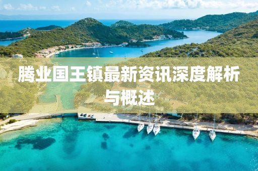 腾业国王镇最新资讯深度解析与概述