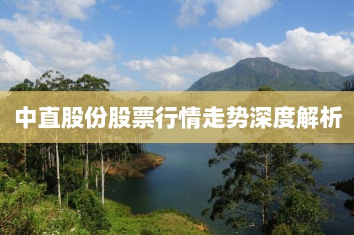 中直股份股票行情走势深度解析