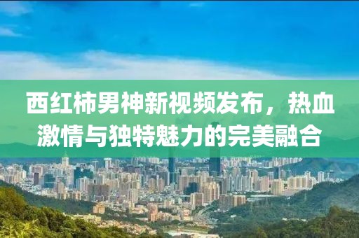 西红柿男神新视频发布，热血激情与独特魅力的完美融合