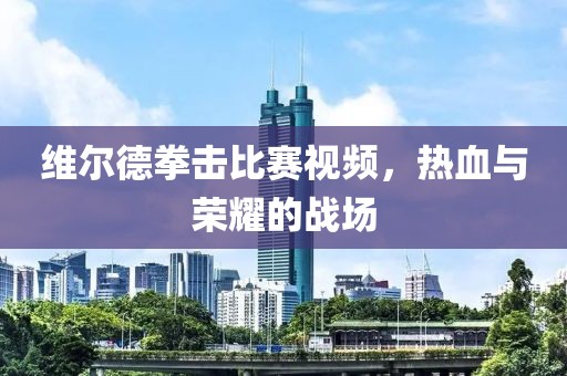 维尔德拳击比赛视频，热血与荣耀的战场