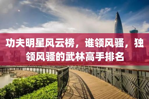 功夫明星风云榜，谁领风骚，独领风骚的武林高手排名