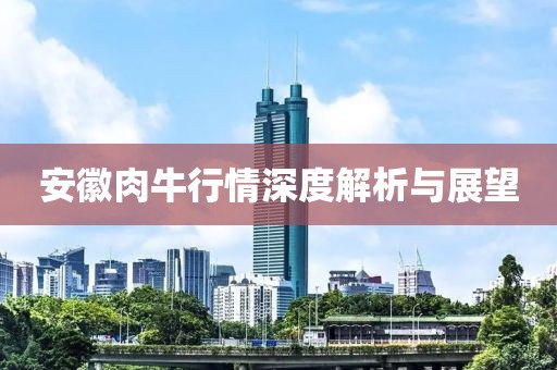 安徽肉牛行情深度解析与展望