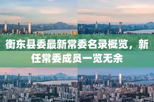 衡东县委最新常委名录概览，新任常委成员一览无余