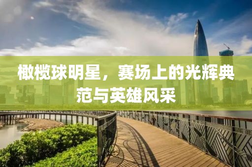 橄榄球明星，赛场上的光辉典范与英雄风采
