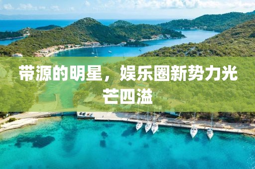 带源的明星，娱乐圈新势力光芒四溢