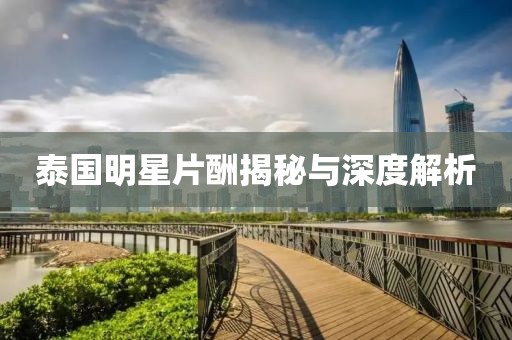 泰国明星片酬揭秘与深度解析