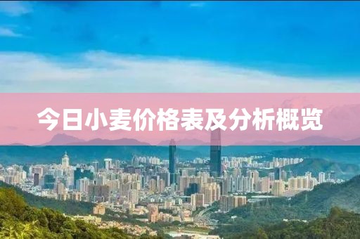 今日小麦价格表及分析概览