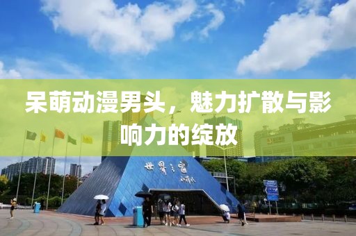 呆萌动漫男头，魅力扩散与影响力的绽放