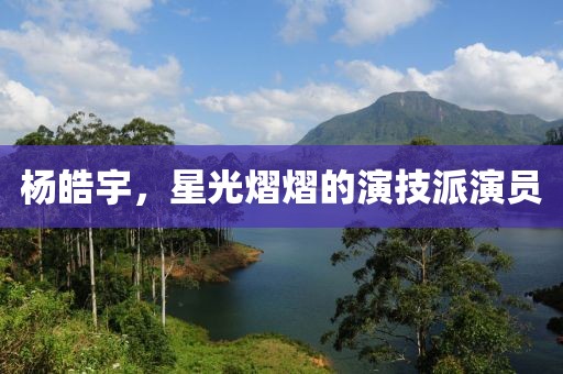 杨皓宇，星光熠熠的演技派演员