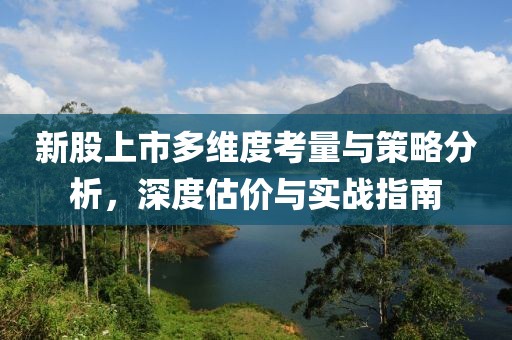 新股上市多维度考量与策略分析，深度估价与实战指南