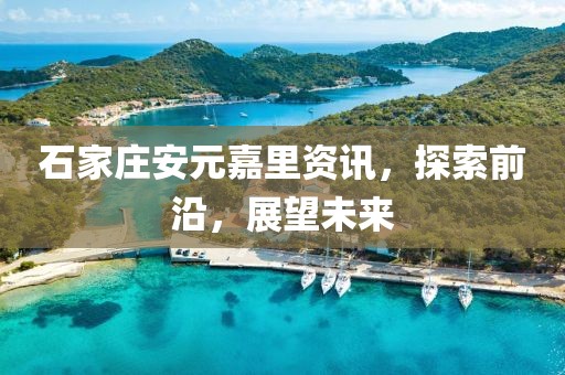 石家庄安元嘉里资讯，探索前沿，展望未来