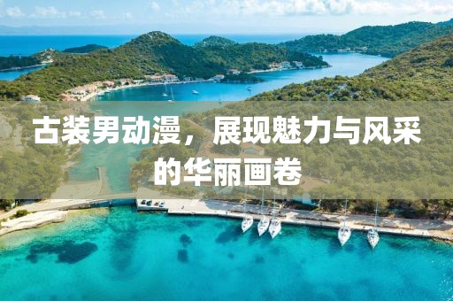 古装男动漫，展现魅力与风采的华丽画卷