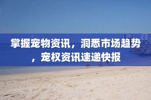 掌握宠物资讯，洞悉市场趋势，宠权资讯速递快报