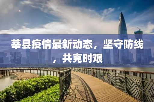 莘县疫情最新动态，坚守防线，共克时艰