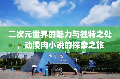 二次元世界的魅力与独特之处，动漫肉小说的探索之旅