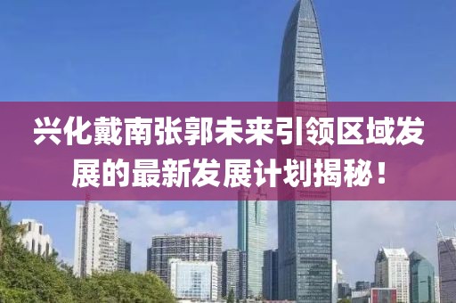 兴化戴南张郭未来引领区域发展的最新发展计划揭秘！