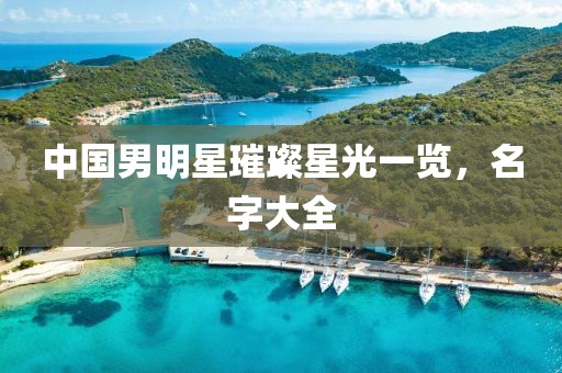 中国男明星璀璨星光一览，名字大全