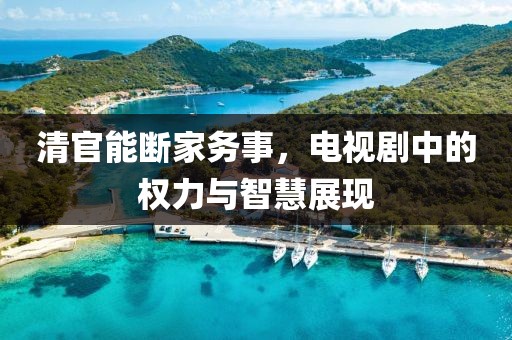 清官能断家务事，电视剧中的权力与智慧展现
