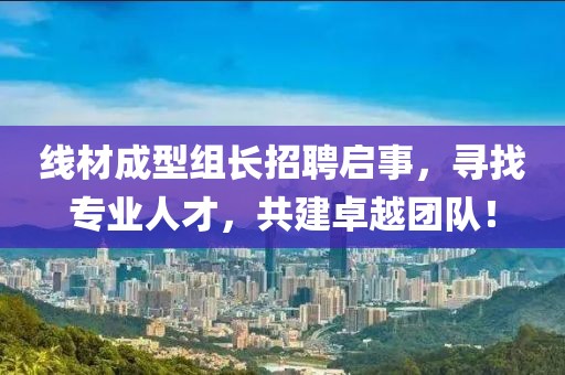 线材成型组长招聘启事，寻找专业人才，共建卓越团队！