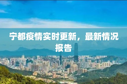 宁都疫情实时更新，最新情况报告
