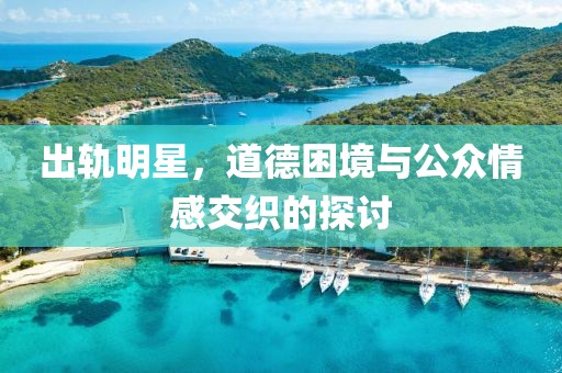 出轨明星，道德困境与公众情感交织的探讨