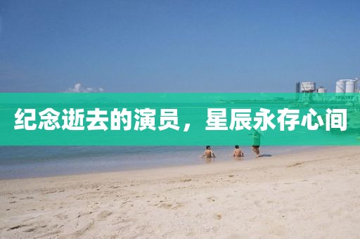 纪念逝去的演员，星辰永存心间