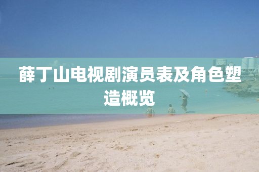 薛丁山电视剧演员表及角色塑造概览