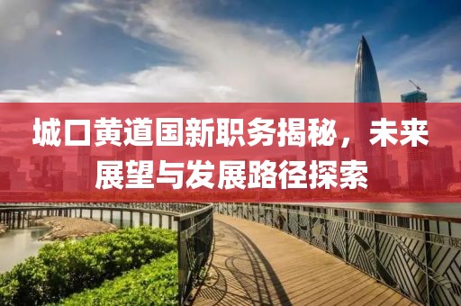 城口黄道国新职务揭秘，未来展望与发展路径探索