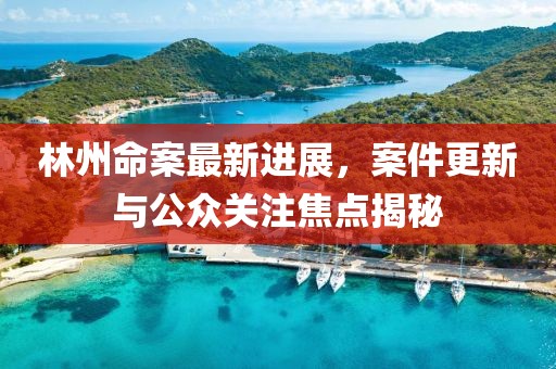 林州命案最新进展，案件更新与公众关注焦点揭秘