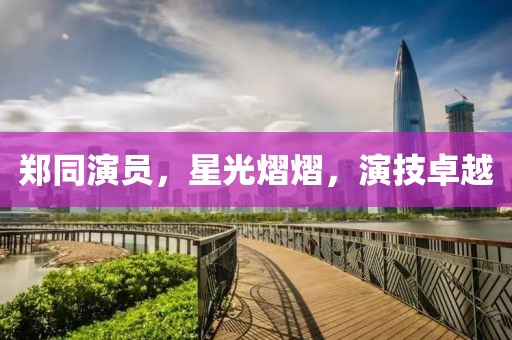 郑同演员，星光熠熠，演技卓越
