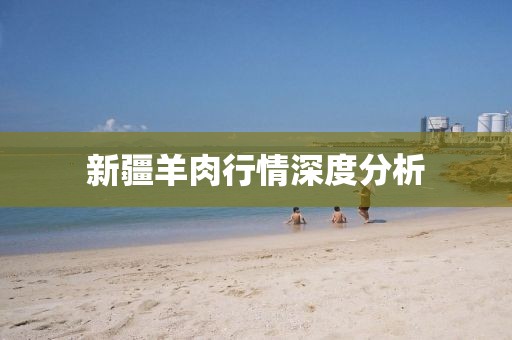 新疆羊肉行情深度分析