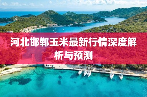 河北邯郸玉米最新行情深度解析与预测