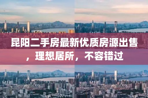 无人尽花飞雪 第29页