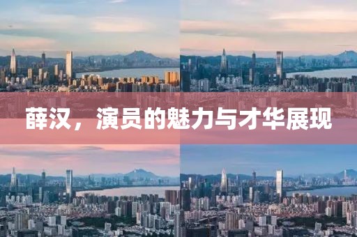 薛汉，演员的魅力与才华展现
