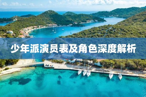少年派演员表及角色深度解析