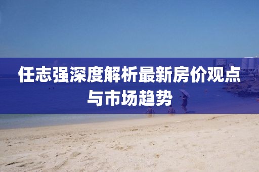 任志强深度解析最新房价观点与市场趋势