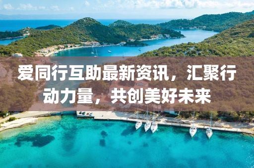 爱同行互助最新资讯，汇聚行动力量，共创美好未来