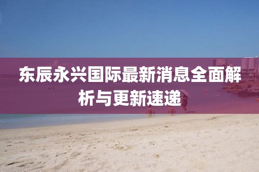东辰永兴国际最新消息全面解析与更新速递