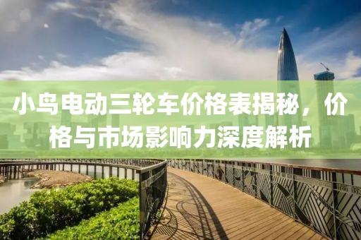 小鸟电动三轮车价格表揭秘，价格与市场影响力深度解析