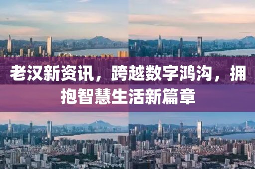 老汉新资讯，跨越数字鸿沟，拥抱智慧生活新篇章